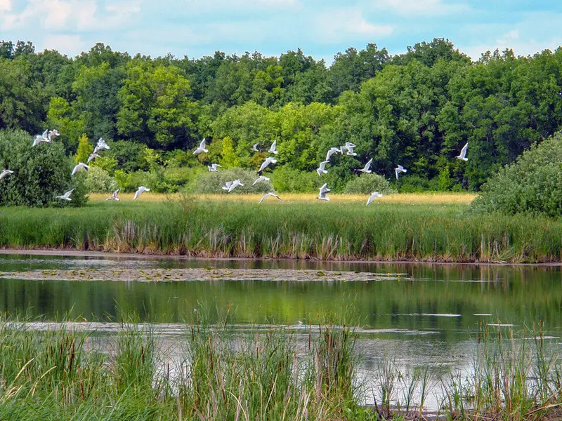 Biodiversity Investments–Researcher and Accelerator (BIRA)