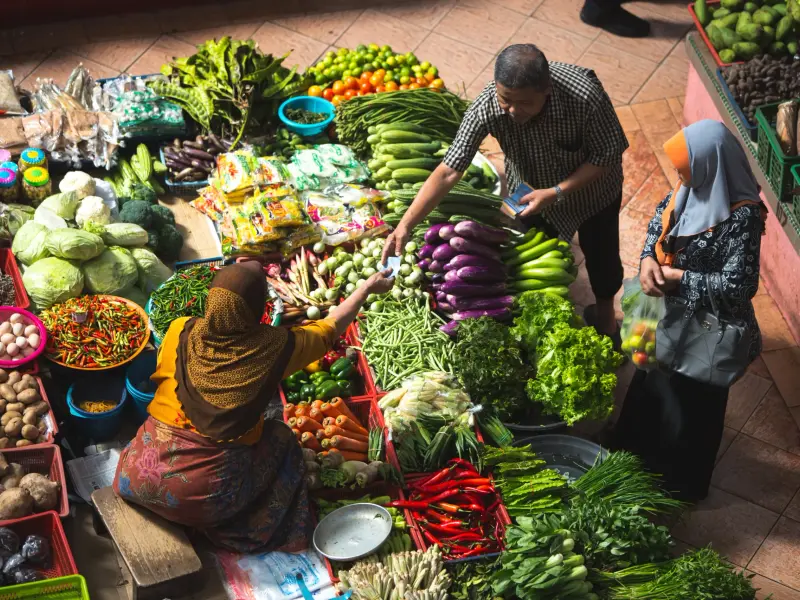 African Green Food Systems Investment Catalyst