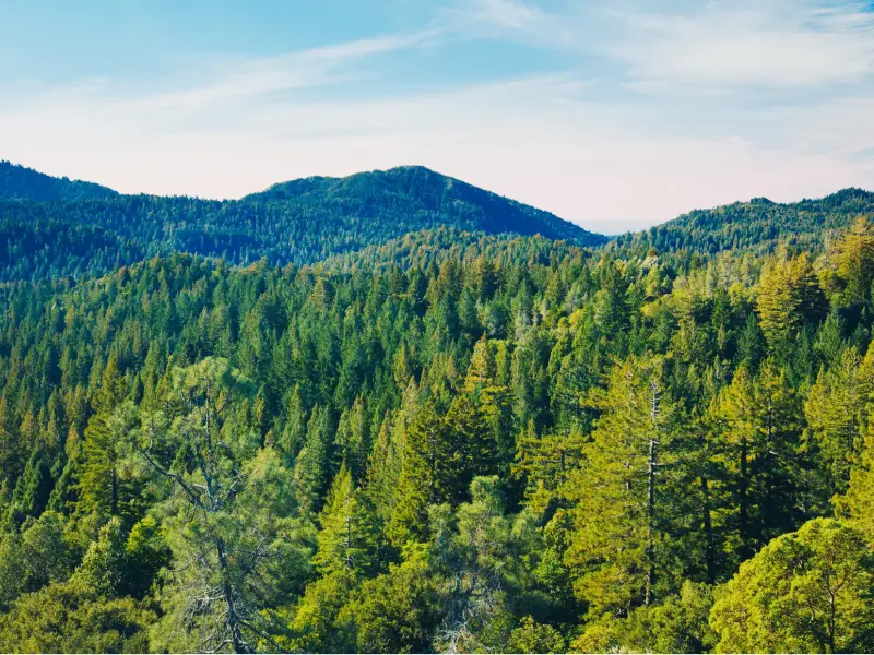 Climate-Positive Development